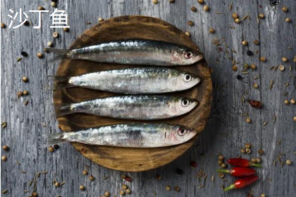 沙丁鱼的产区，仅沙丁鱼1种