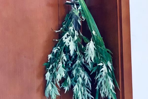 挂艾草有什么寓意，代表美好祝福、驱邪护宅等含义
