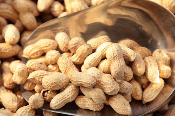 河南省台前县的特产，吴坝大蒜被视为上乘调味品