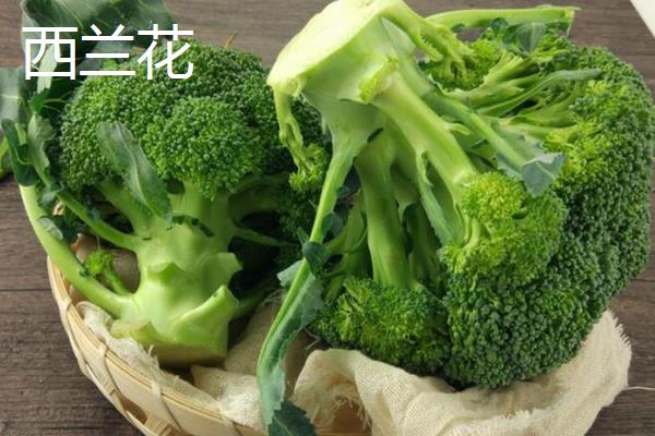 口蘑、香菇、草菇的区别是什么，科属、产地和别称均不同