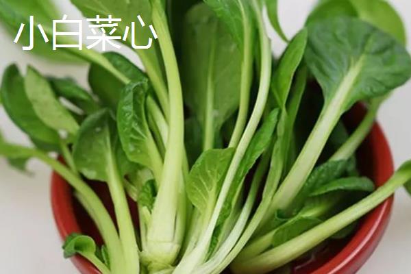 口蘑、香菇、草菇的区别是什么，科属、产地和别称均不同