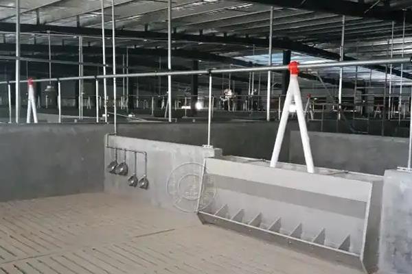 养猪场的建设选址方法，水源必须充足优质