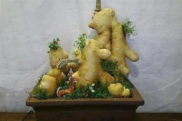 用姜摆成姜山的方法，用骨架搭建造型再堆积生姜