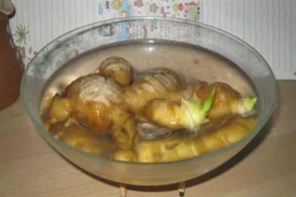 用姜摆成姜山的方法，用骨架搭建造型再堆积生姜