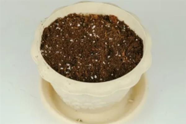 用姜摆成姜山的方法，用骨架搭建造型再堆积生姜