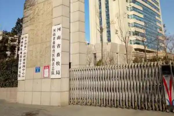母鹿有角吗，母鹿的头上通常没有角