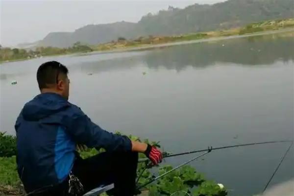 2.0号子线可以钓多重的鱼，确保质量能应付10斤以内的鱼类