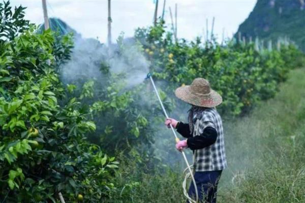 苯醚甲环唑可以防治什么，以白粉病、黑星病等病害为主