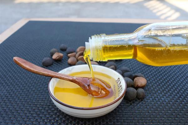 茶油是什么，叫油茶籽油、山茶油等