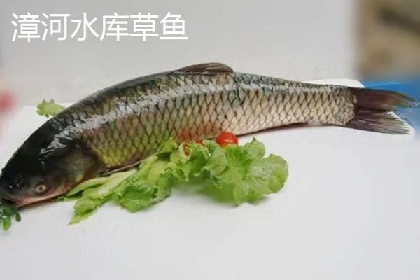 那林草鱼的产地，产于广西博白县的那林镇、江宁镇等乡镇