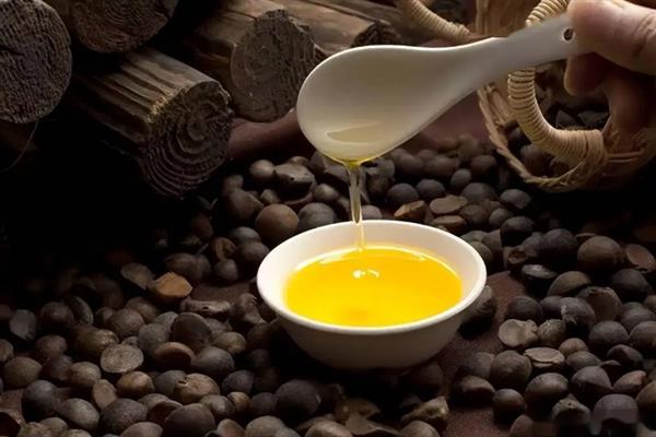 茶油是什么，叫油茶籽油、山茶油等