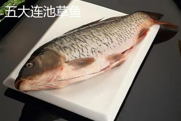 那林草鱼的产地，产于广西博白县的那林镇、江宁镇等乡镇