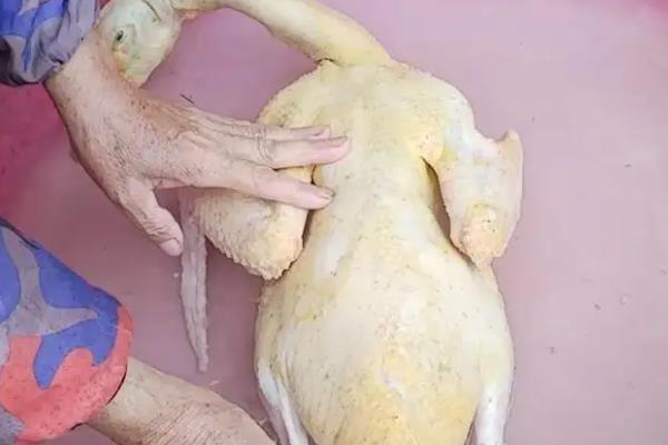 鸭子杀完后如何去细毛，可以采用拔毛蜡拔掉细毛