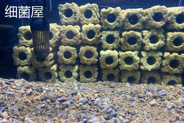 常见的滤材有哪些，有过滤棉、细菌屋、活性炭等