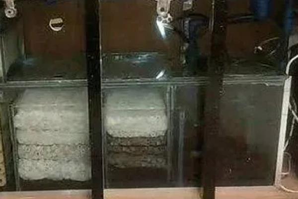 常见的滤材有哪些，有过滤棉、细菌屋、活性炭等