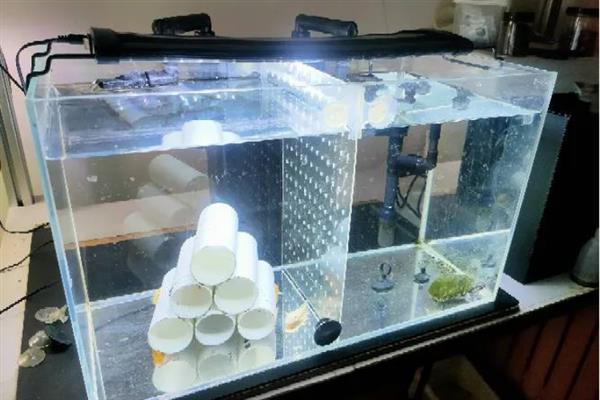 新手用什么鱼缸养鱼，方形或长方形鱼缸更容易安装设备
