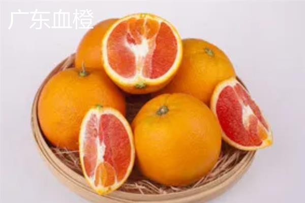 什么地方产出好吃的橙子，湖南新宁、湖南麻阳等地方产出的橙子品质较好