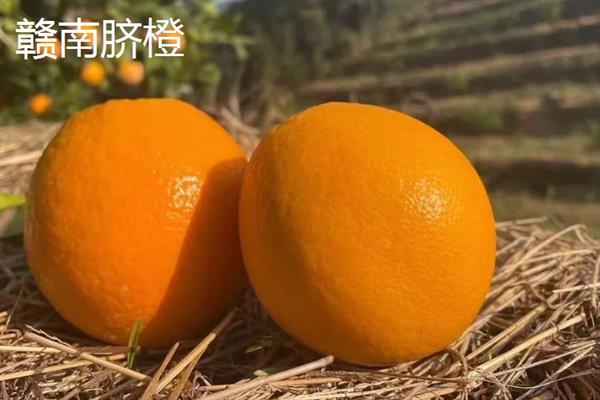 什么地方产出好吃的橙子，湖南新宁、湖南麻阳等地方产出的橙子品质较好