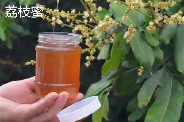 蜂蜜的种类，常见的有槐花蜜、百花蜜等