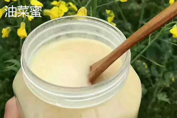 蜂蜜的种类，常见的有槐花蜜、百花蜜等