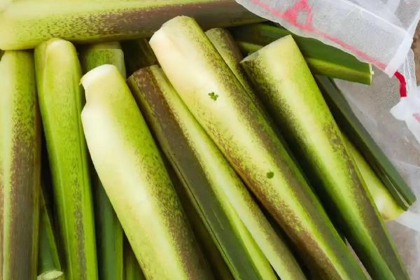茭白冬天能种植吗，冬天是可以种植的