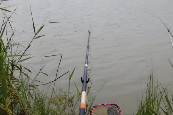 为什么有口不上鱼,警觉的鱼儿会不断试探鱼饵