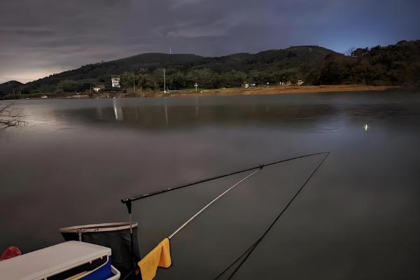 为什么有口不上鱼,警觉的鱼儿会不断试探鱼饵