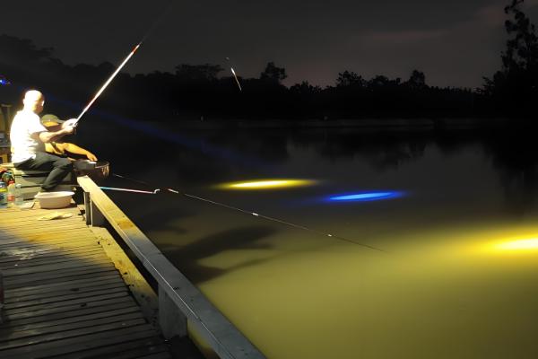 为什么有口不上鱼,警觉的鱼儿会不断试探鱼饵