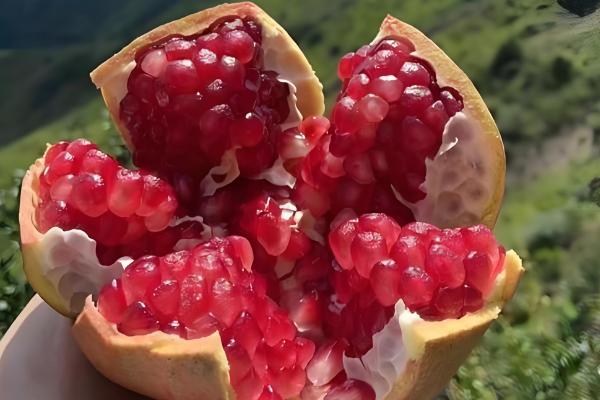 有什么出名的石榴产地,会理是中国石榴之乡