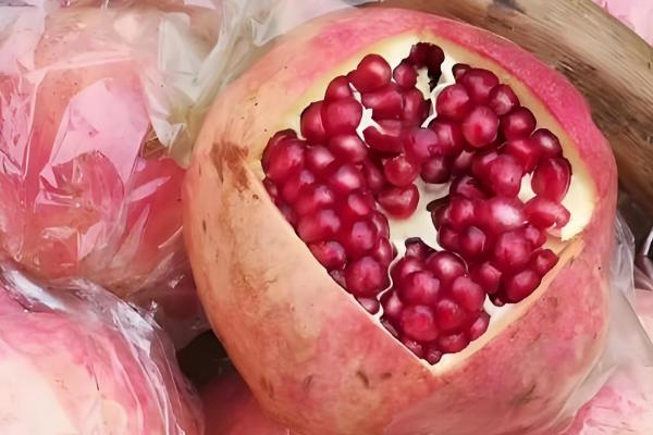 有什么出名的石榴产地,会理是中国石榴之乡