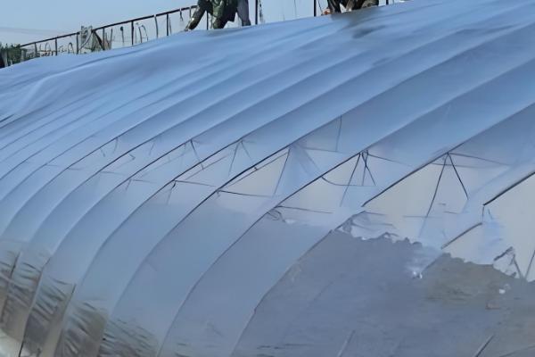 冷棚二层膜何时覆盖，温度达不到作物的需求时才会使用