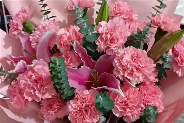 17朵康乃馨的含义，代表此情不渝