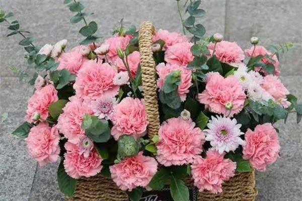 17朵康乃馨的含义，代表此情不渝