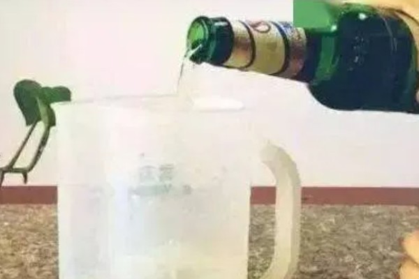 啤酒能不能浇吊兰，兑水稀释才能使用