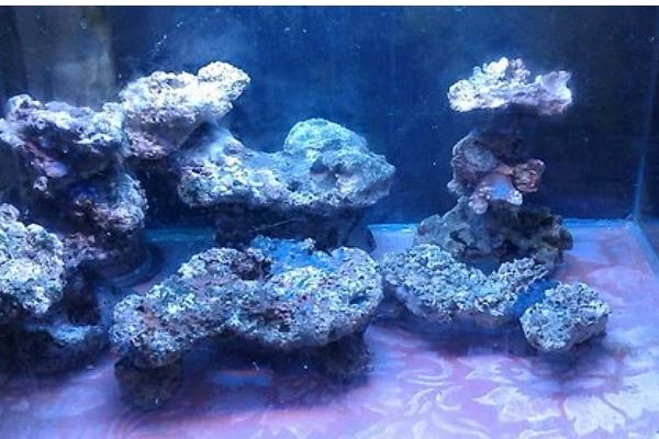 鱼缸里放鹅卵石好不好，放鹅卵石利大于弊