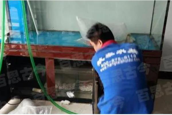 鱼缸里放鹅卵石好不好，放鹅卵石利大于弊