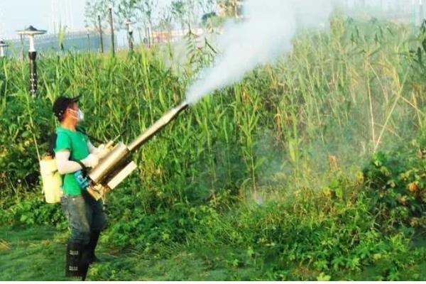 高效氟吡甲禾灵的使用范围,可有效防除芦苇、白茅、狗牙根等