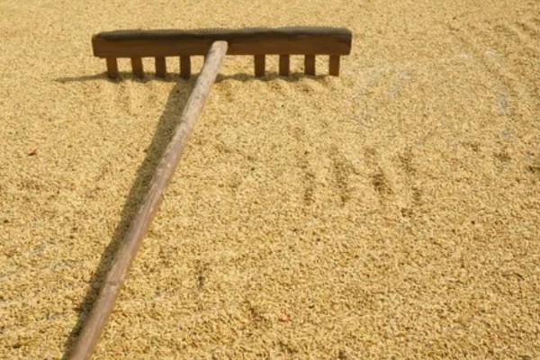 如何去除果蔬表面农药残留，建议用温水清洗