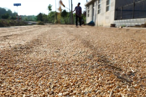 如何去除果蔬表面农药残留，建议用温水清洗