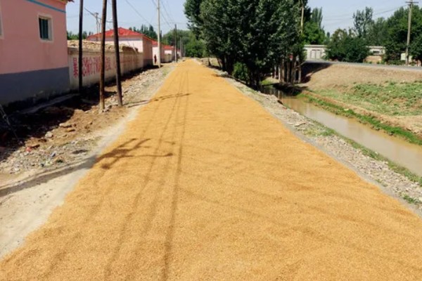 如何去除果蔬表面农药残留，建议用温水清洗