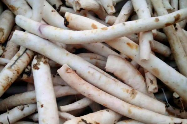 种植白芍的收益,年均亩收入为6000-7000元左右