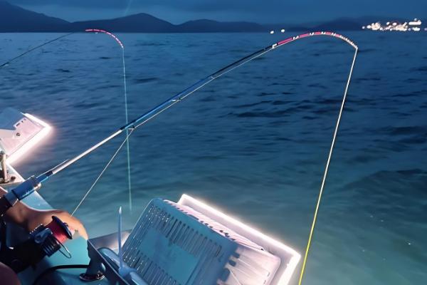 为什么要在鱿鱼船上面钓鱿鱼，生活在深海中无法进行岸钓