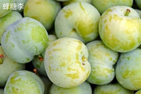 李子是热性水果吗，不是热性水果