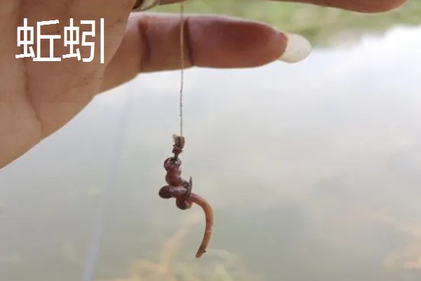 钓黄颡鱼用什么鱼钩,推荐伊豆钩、丸世钩等