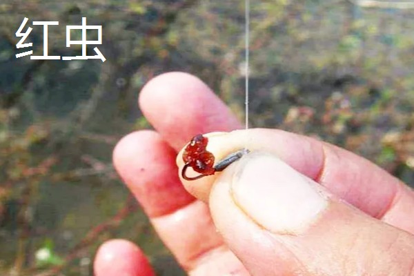 钓黄颡鱼用什么鱼钩,推荐伊豆钩、丸世钩等