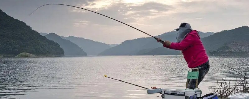 钓草鱼怎么打窝，常规打窝是将麦粒等窝料直接投放到钓点