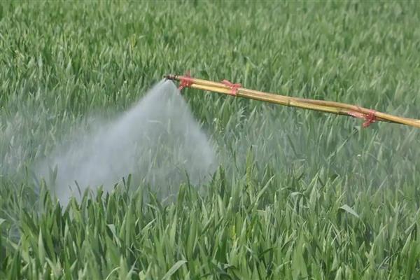 对作物补充硼肥的方法,主要有以下3种使用方式