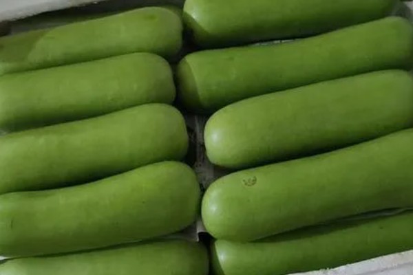 蒲瓜可以保存多久，放入冰箱可以保存3-5天