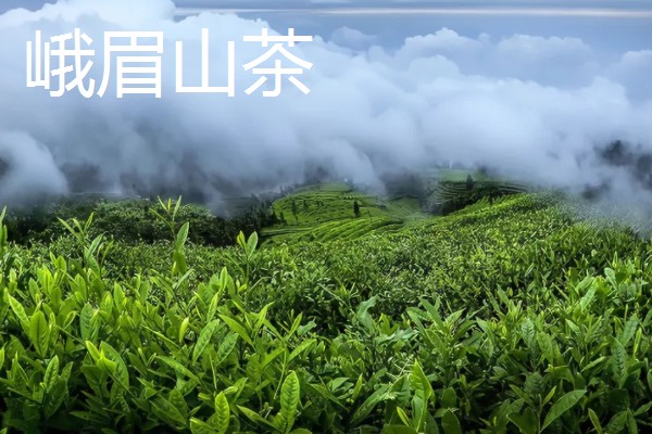 绿茶的品种，常见的有碧螺春、松峰绿茶等