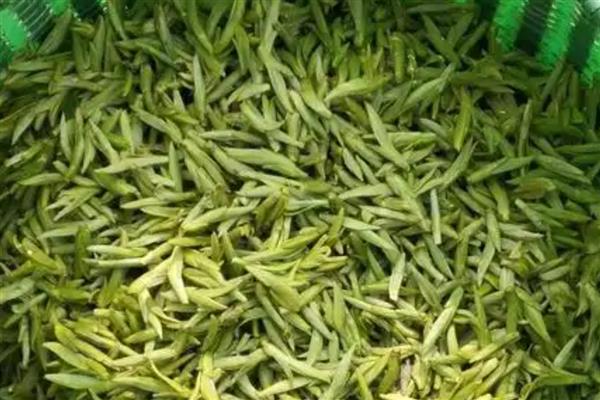 浙江省嵊州市的特产，嵊州水蜜桃备受消费者欢迎